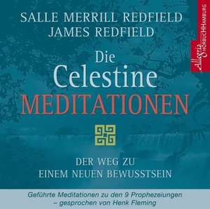 Die Celestine Meditation de James Redfield