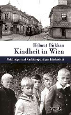 Kindheit in Wien de Helmut Birkhan