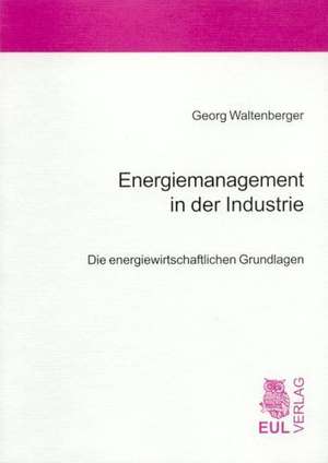 Energiemanagement in der Industrie de Georg Waltenberger