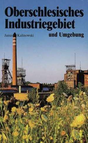 Oberschlesisches Industriegebiet und Umgebung de Mariola Malerek