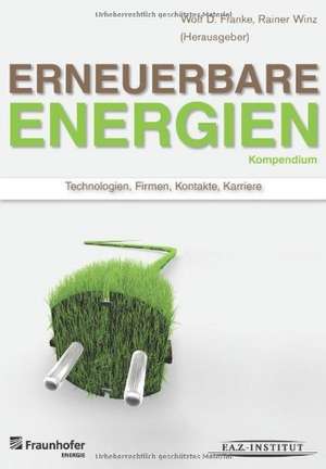 Kompendium Erneuerbare Energien II de Wolf D. Franke