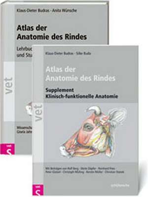 Klinische Anatomie des Rindes de Klaus-Dieter Budras