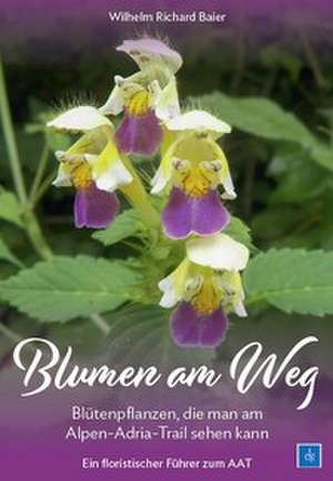 Blumen am Weg de Wilhelm Richard Baier