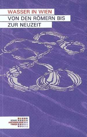 Wasser in Wien. Von den Römern bis zur Neuzeit de Sylvia Sakl-Oberthaler