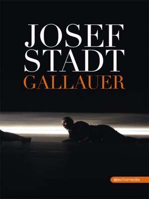 Josefstadt de Sepp Gallauer