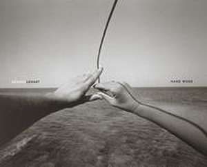 Hand:Work de Branko Lenart