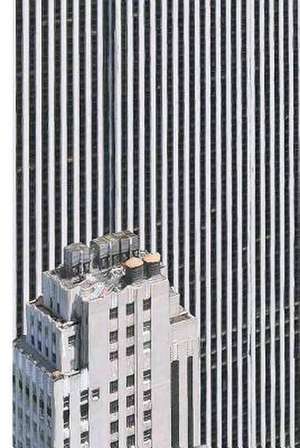 The Rendering Eye: Urban America Revisited de Regula Bochsler