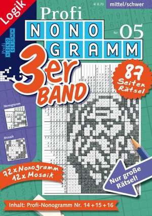 Profi-Nonogramm 3er-Band 05