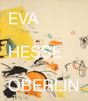 Eva Hesse: Drawings in the collection of the Allen Memorial Art Museum Oberlin College<BR> de Briony Fer