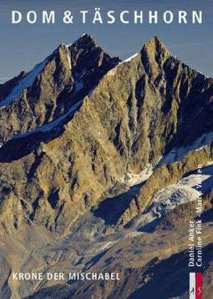 Dom & Täschhorn de Daniel Anker