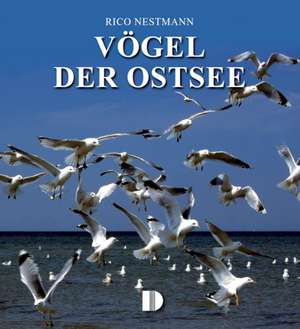 Vögel der Ostsee de Rico Nestmann