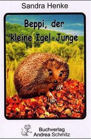 Beppi, der kleine Igel-Junge de Sandra Henke