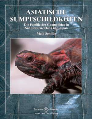 Asiatische Sumpfschildkröte de Maik Schilde