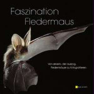 Faszination Fledermaus de Bernd Stein