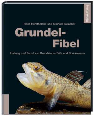 Grundel-Fibel de Hans Horsthemke