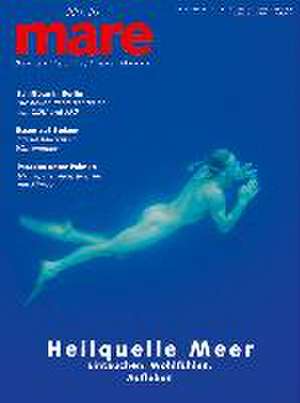 mare No. 19. Heilquelle Meer de Nikolaus Gelpke