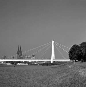 Rhine Bridges