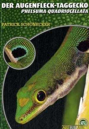 Der Augenfleck-Taggecko de Patrick Schönecker