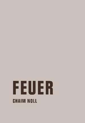 Feuer de Chaim Noll