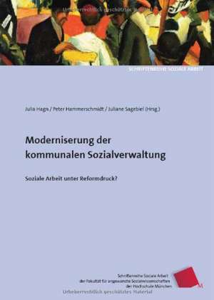 Modernisierung der kommunalen Sozialverwaltung de Julia K. Hagn