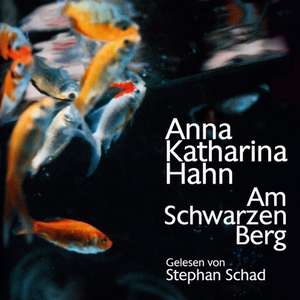 Am schwarzen Berg de Anna Katharina Hahn