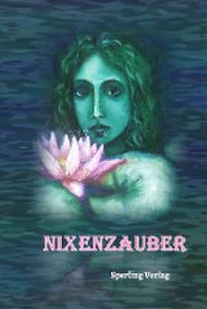 Nixenzauber de Brigitte Ableidinger