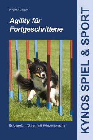 Agility für Fortgeschrittene de Werner Damm