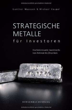 Strategische Metalle für Investoren de Gunther Maassen