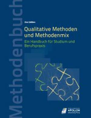 Qualitative Methoden und Methodenmix de Lisa Lüdders