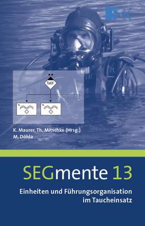 Einheiten und Führungsorganisation im Taucheinsatz de Manuel Döhla