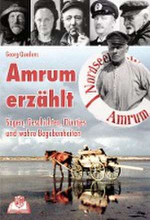 Amrum erzählt de Georg Quedens