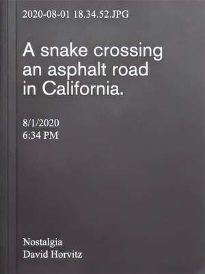 Nostalgia de David Horvitz
