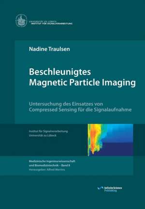 Beschleunigtes Magnetic Particle Imaging de Nadine Traulsen