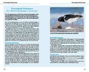 Schuppius, A: Eiderstedt & Husum