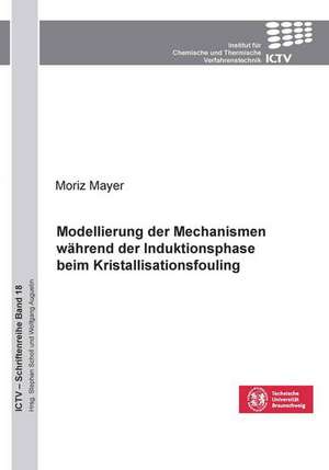 Modellierung der Mechanismen während der Induktionsphase beim Kristallisationsfouling (Band 18) de Moritz Mayer