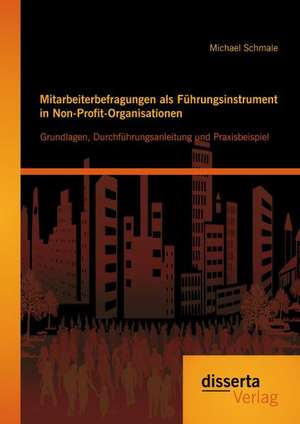 Mitarbeiterbefragungen ALS Fuhrungsinstrument in Non-Profit-Organisationen: Grundlagen de Michael Schmale