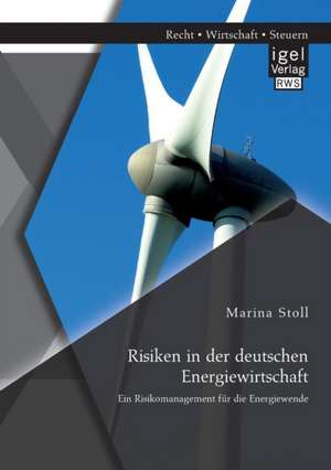 Risiken in der deutschen Energiewirtschaft. Ein Risikomanagement für die Energiewende de Marina Stoll