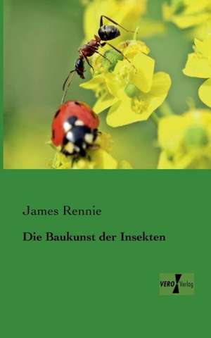 Die Baukunst der Insekten de James Rennie