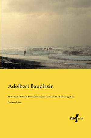 Blicke in die Zukunft der nordfriesischen Inseln und der Schleswigschen Festlandsküste de Adelbert Baudissin