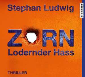 Zorn 7 - Lodernder Hass de Stephan Ludwig