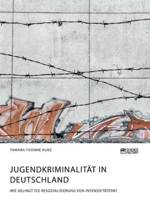 Jugendkriminalität in Deutschland. Wie gelingt die Resozialisierung von Intensivtätern? de Tamara Yvonne Kurz