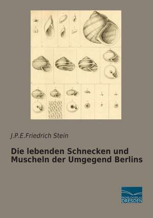 Die lebenden Schnecken und Muscheln der Umgegend Berlins de J. P. E. Friedrich Stein