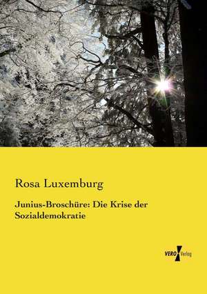 Junius-Broschüre: Die Krise der Sozialdemokratie de Rosa Luxemburg