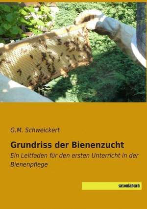 Grundriss der Bienenzucht de G. M. Schweickert