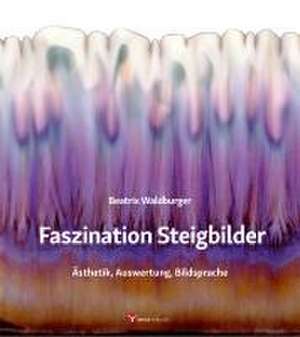 Faszination Steigbilder de Beatrix Waldburger