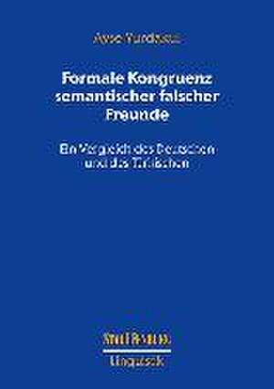 Formale Kongruenz semantischer falscher Freunde de Ayse Yurdakul