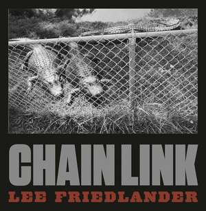 Chain Link de Lee Friedlander