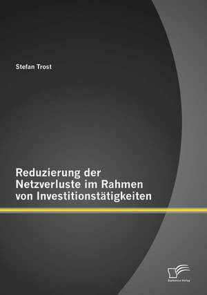 Reduzierung Der Netzverluste Im Rahmen Von Investitionstatigkeiten: Konzepte, Ziele Und Herausforderungen in Der Krankenhauspraxis de Stefan Trost