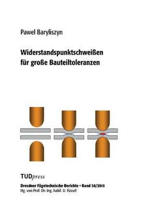 Widerstandspunktschweißen für große Bauteiltoleranzen de Pawel Baryliszyn