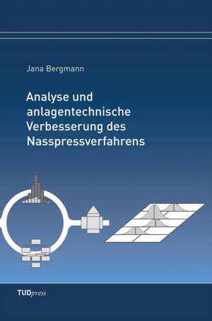 Analyse und anlagentechnische Verbesserung des Nasspressverfahrens de Jana Bergmann